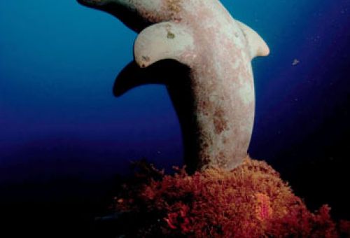 Dofí Sud